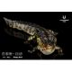 Haolonggood Pachyrhinosaurus Lv Fang New Colour Grey (L) HLG036 HA047