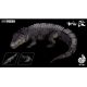 Nanmu Crocodile Saltwater - The Omen King 170028-30081