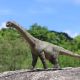 Haolonggood Camarasaurus Peng Qi green HA670