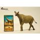 Eofauna Columbian Mammoth 913