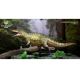 Haolonggood Acrocanthosaurus Zhang Qing green HLG187 HA970