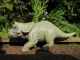 Collecta Triceratops Baby 88199