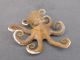 Collecta Octopus 88485