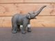 Collecta Aziatische Olifant Kalf 88487