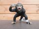 Collecta Chimpansee 88492