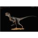 Rebor 160345 Velociraptor Pete 1/18