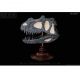 Rebor Oddities Fossil Studies Ceratosaurus dentisulcatus Museum Class Skull Replica 654