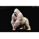 Rebor Gorilla Z Alpha Male Mountain Gorilla Albino White 663