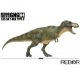 Rebor GrabNGo GNG04 1:35 scale SA Tyrannosaurus Rex Type C 669