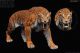 Rebor Smilodon populator Stray Cat Year of the Tiger 685