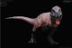 Rebor Tyrannosaurus rex “KISS” Mountain 686