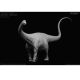 Rebor Diplodocus carnegii “Artist Proof” (grey colourwash, suitable for painting) 695