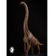 W-Dragon Brachiosaurus (Giraffatitan) 002