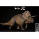Nanmu Triceratops Heavylance dinosaur Statue Primary Colour 30022