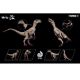 Nanmu Velociraptor White Queen Easy Motion 30067-172862