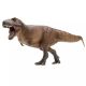 PNSO Tyrannosaurus Rex Cameron 10022x
