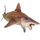 PNSO Helicoprion Haylee 102043