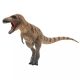PNSO Daspletosaurus Cole 102073