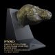 PNSO Tyrannosaurus Rex Wilson Portrait Bookend 103001