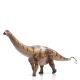 Haolonggood Apatosaurus Shijing brown 040