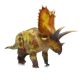 Haolonggood Pentaceratops Lioutang orange 160
