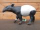 Papo Tapir 50112