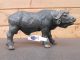 Papo Buffel 50114