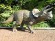 Papo Triceratops 55002