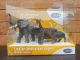 Papo Display Box Wild Animals 80001