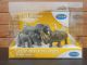 Papo Display Box Wild Animals 80002