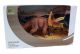 Showbox Triceratops PVC 30cm
