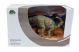 Showbox Parasaurolophus PVC 22cm
