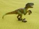 Schleich Velociraptor 14509