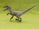 Schleich Velociraptor 14524