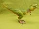 Schleich Tyrannosaurus Rex, lichtgroen 14528