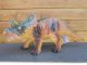 Timpo Soft Model Triceratops