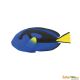 Safari IC Blue Tang 100039