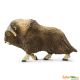 Safari NAW Muskox 100095