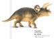 Safari PW Triceratops 100153