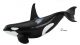 Safari SL Orca 100232