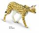 Safari WSW Serval 100237