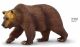 Safari WW Grizzly Bär 100274
