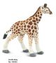 Safari WSW Giraffenbaby 100422