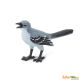 Safari WB Mockingbird 150329