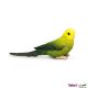 Safari WB Green Budgie 150429