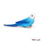 Safari WB Blue Budgie 150629