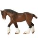 Safari WCH Clydesdale Stute 151205