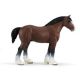 Safari WCH Clydesdale Hengst 157805