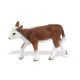 Safari SF Hereford Kalb 160129