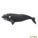 Safari SL Right Whale 204229